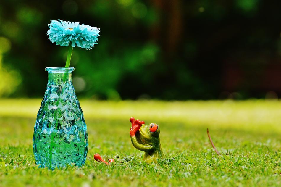 Vase Flower Frog