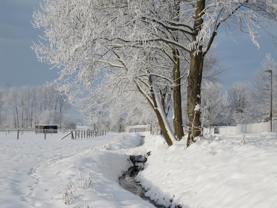 view of a winter road with a tree