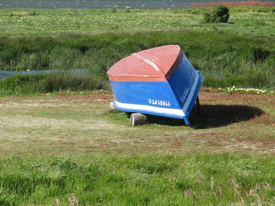 upturned boat in the grass
