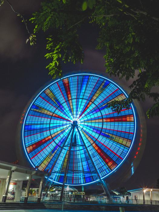 brightly lit ferris wheel in the park