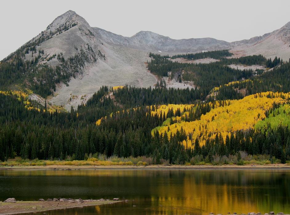 scenery on the mountain with trees