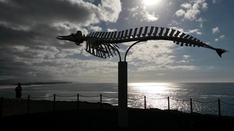 Iron sculpture of a fish against the sea