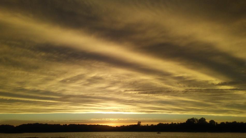 cloudy sky with sun and silhouette of trees