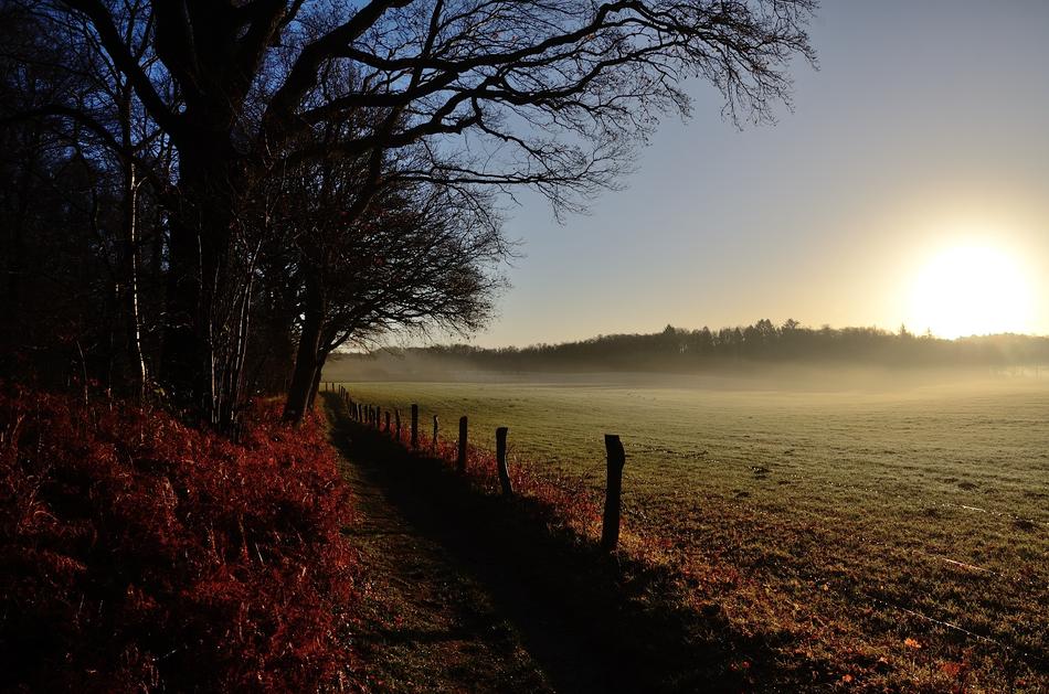 Autumn field in the sunshine