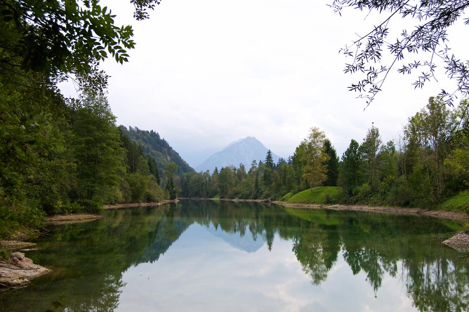 Riparian Zone Lake landscape
