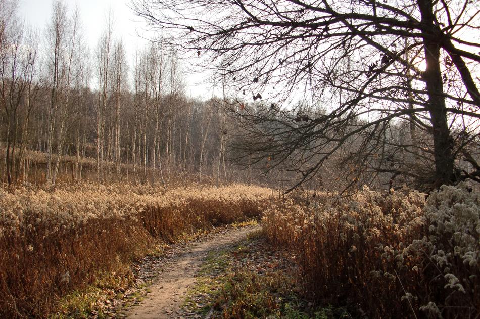 path in autumn landscape