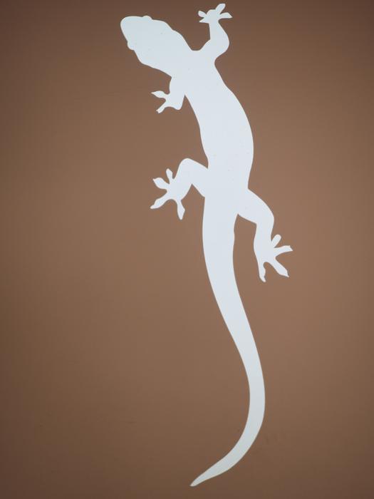 Salamander Amphibian Silhouette
