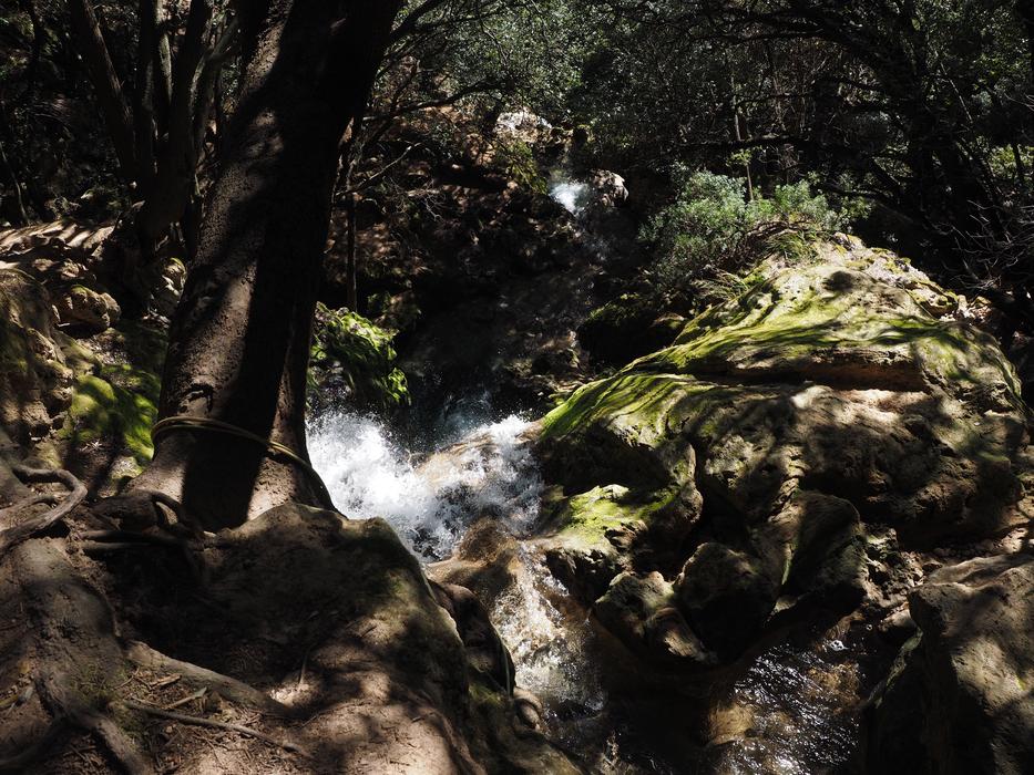 water spring in the forest