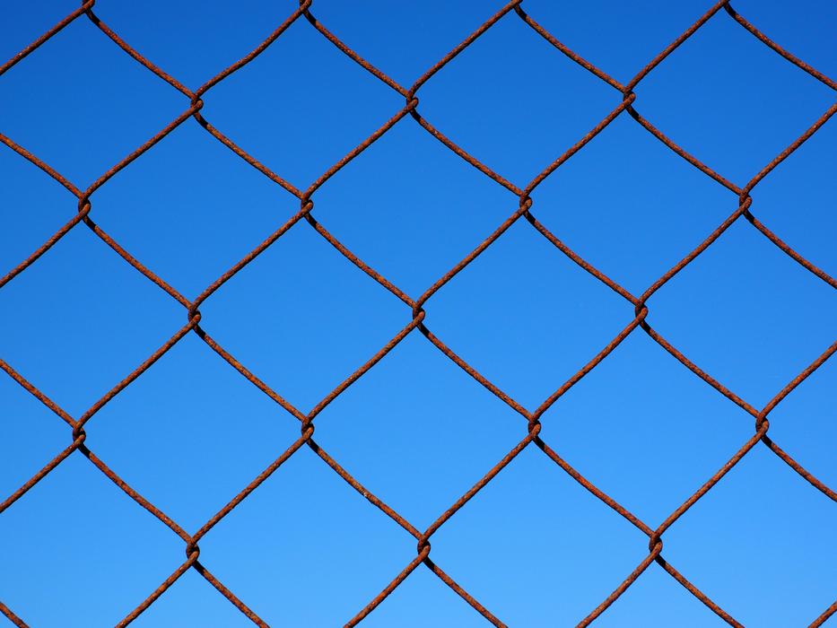 Wire Mesh Fence