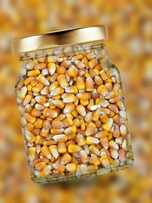 Corn Glass Lid