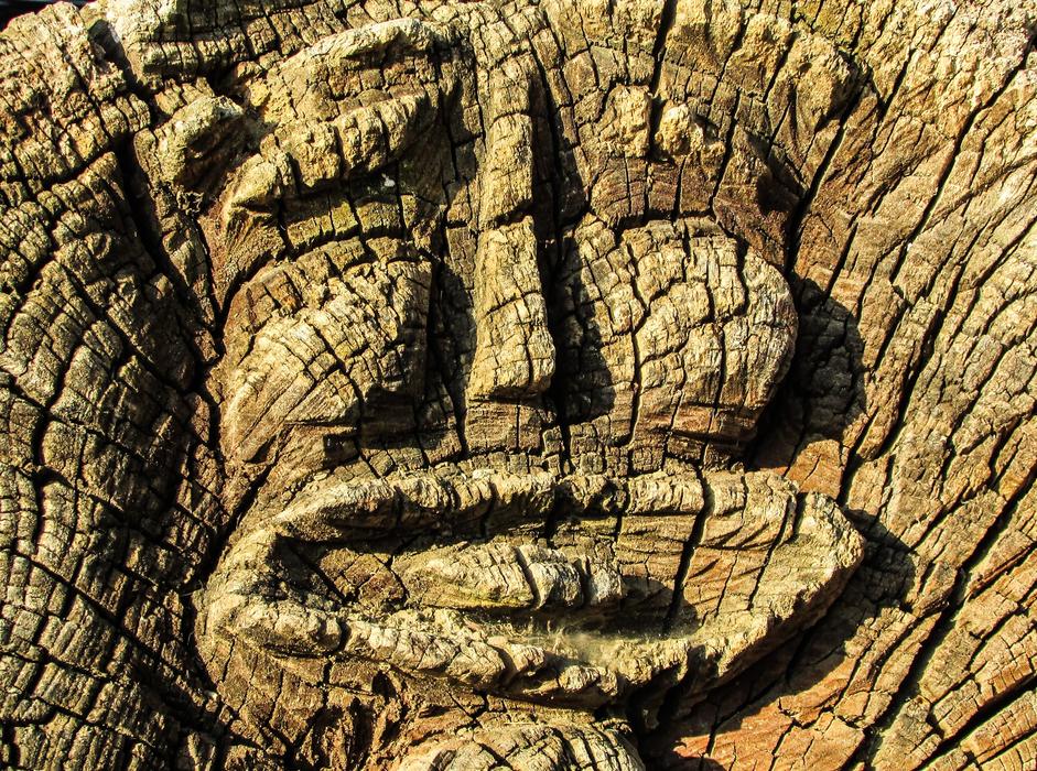 wooden architectural face