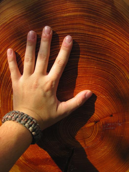 Wood Hand on Grain Annual