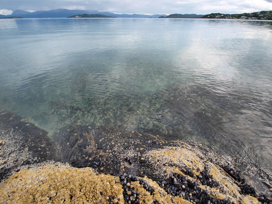 Sea Smooth Mirroring