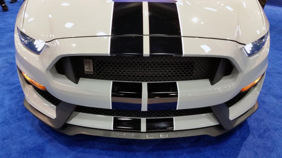 Shelby Sports Car Vehicle