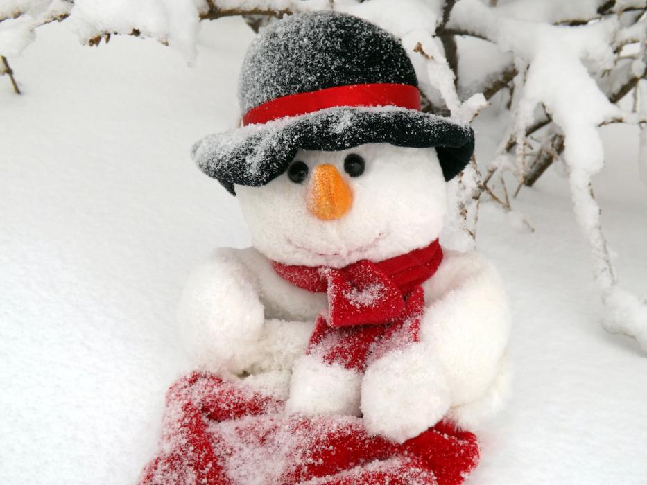 cute snowman in a hat