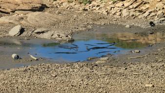polluted river