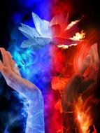 fire ice hand flower