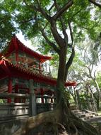 Cool Booths Trees Green 灣 Lake