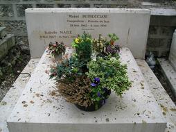 Michel Falls Petrucciani Pianniste