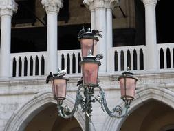 Venice Streets Lamp Street