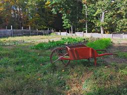 Garden Wheelbarrow
