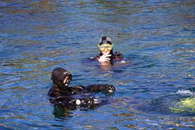 People swimming in the water with scuba diving