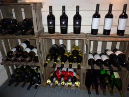 wine in the shelves