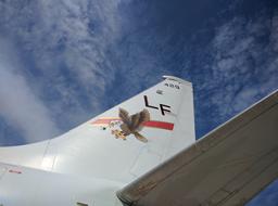 Eagle drawing on tail of LF 429 Airplane