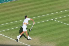 Novak Jokovic Mens Tennis