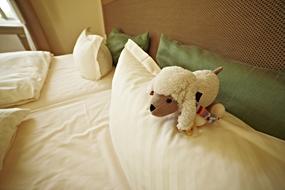 Bed Pillow
