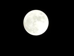 white bright moon in the night sky