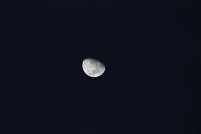 Luna Night
