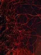 Fire Spark Scattering