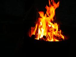 bonfire in the night