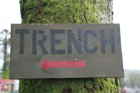 warning sign on a tree pole