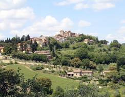 Tuscany Wine