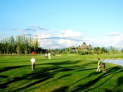 people vacationing on the golf course