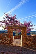 Entrance Frame Archway