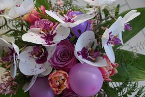 Flowers Strauss Orchid