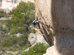 climber on the rocks among the trees