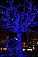 Tree Led