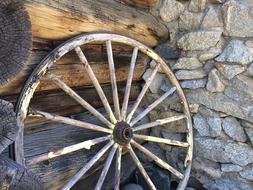 Wagon Wheel Mammoth