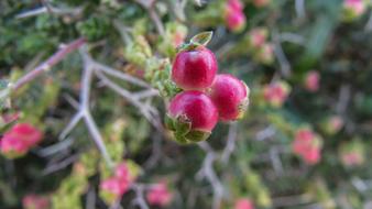 Cyprus Cavo Greko National Park