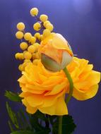 yellow Artificial Ranunculus Flowers