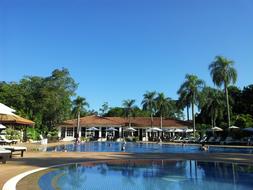 pavilions and palms at swimming pool, Brazil