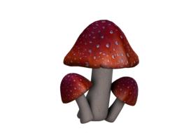 three fly agarics, toxic mushrooms, fantasy