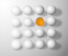 broken egg among whole