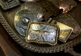 Belts Carol M Highsmith Belt