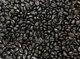 black roasted beans