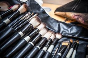makeup brushes in a case